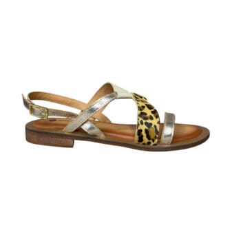 smart steps 08X-GOLD ANIMAL