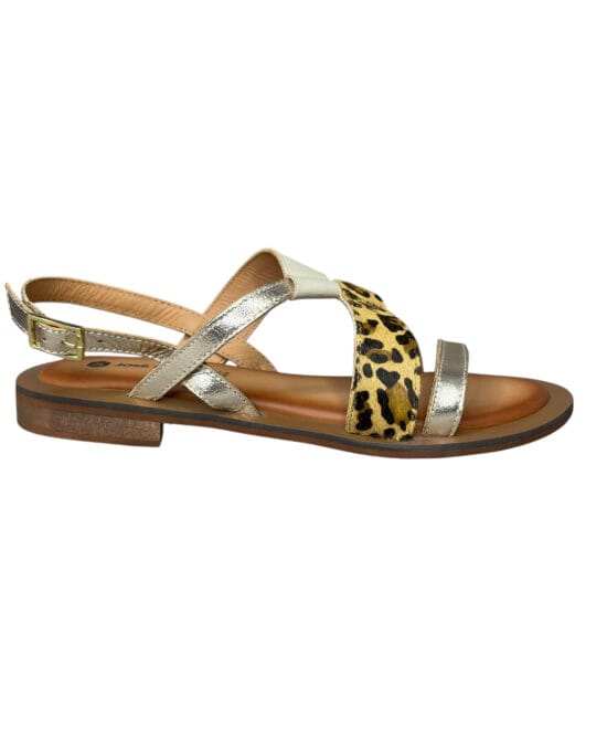 smart steps 08X-GOLD ANIMAL
